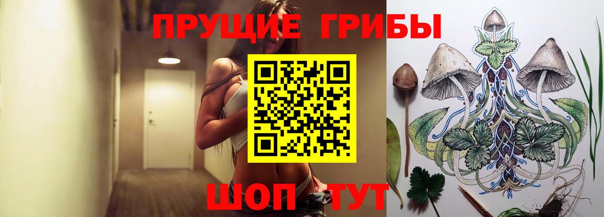 Галлюциногенные грибы Cubensis  Вход с VPN  Междуреченск 